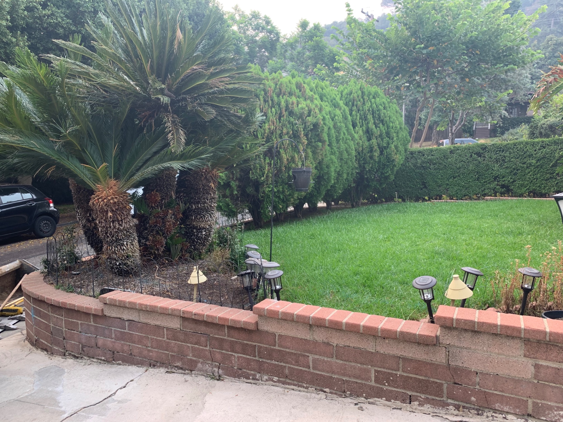 Front yard rebuild — new seat wall, sod & low-voltage lighting in Lomita — before